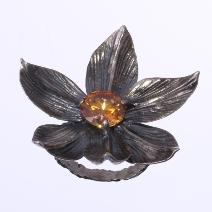 Magnolia Grandiflora