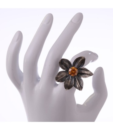 Magnolia Grandiflora