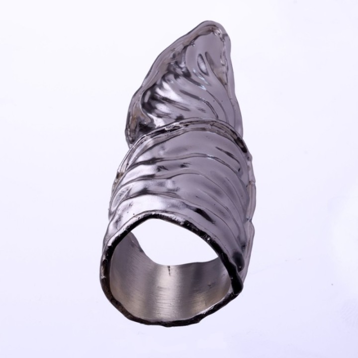 Triangulum Animae Flux