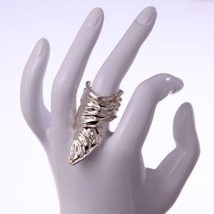 Triangulum Animae Flux