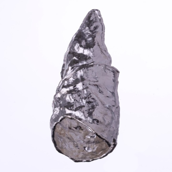 Triangulum Animae Umbra