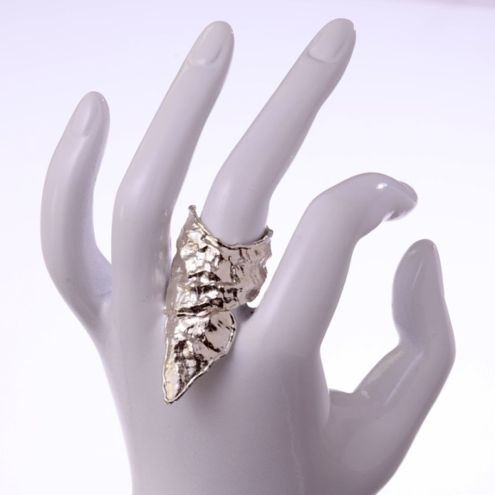 Triangulum Animae Umbra